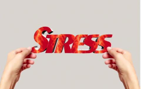 Sample Ult Anti Aging Guide Gold