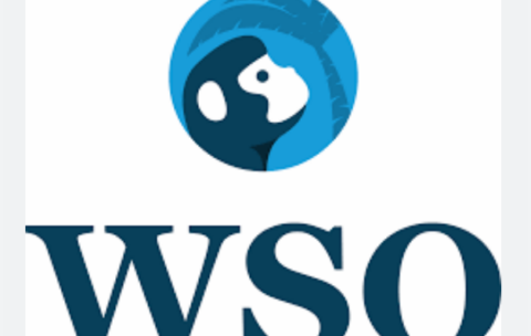 WSO